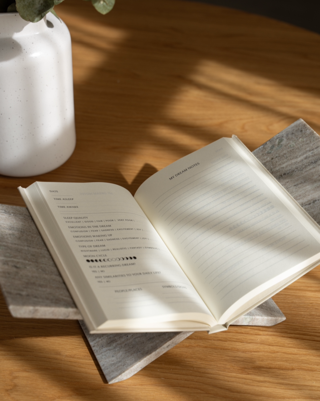 My Dream Notes