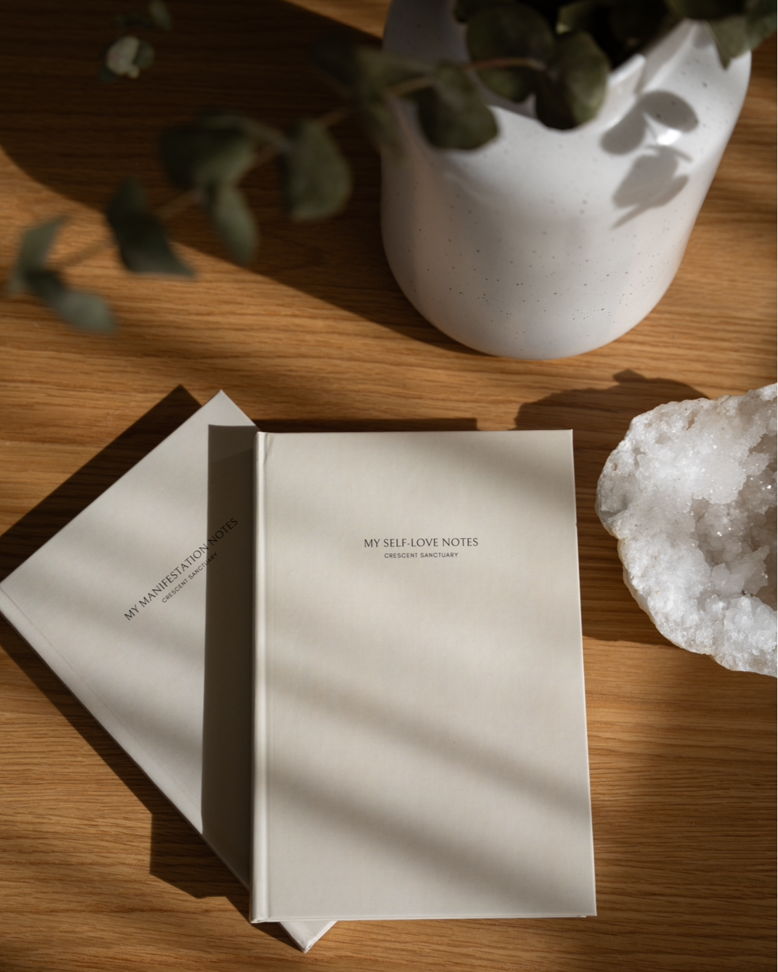 My Manifestation Notes