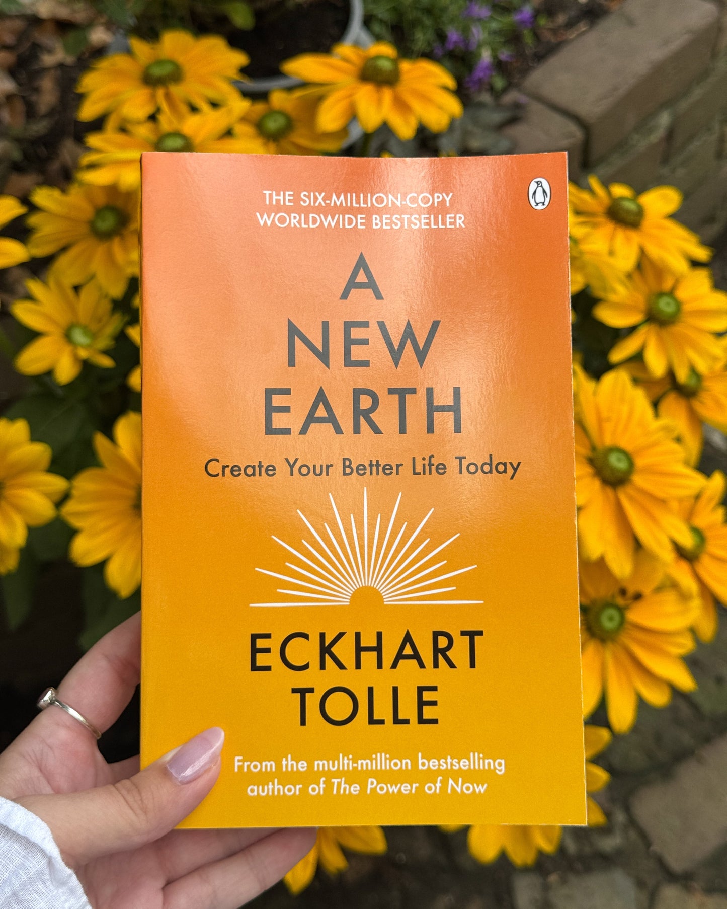 A New Earth : Create Your Better Life Today