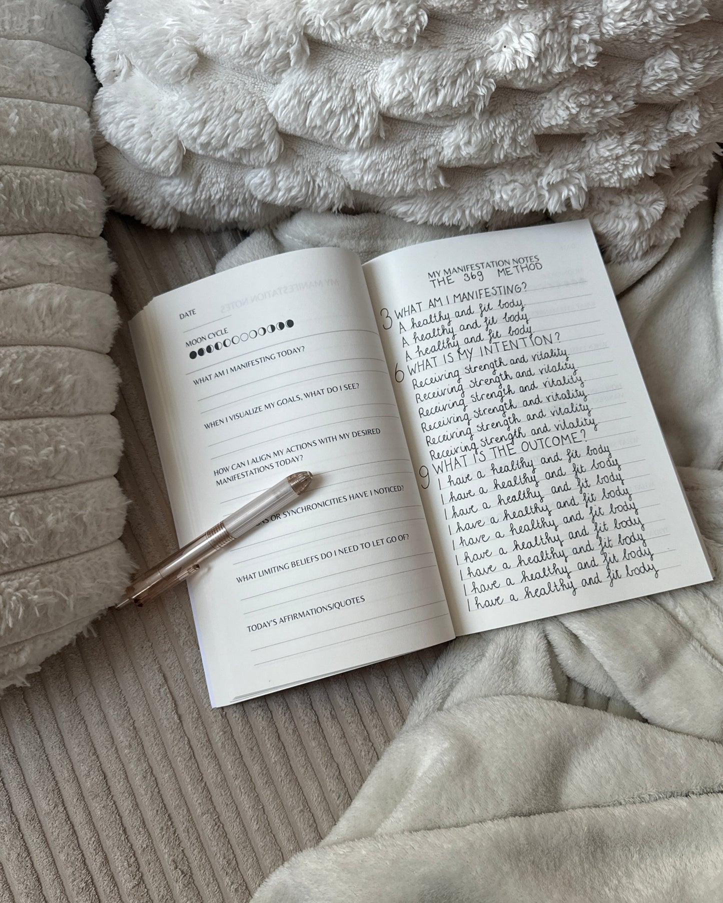 My Manifestation Notes