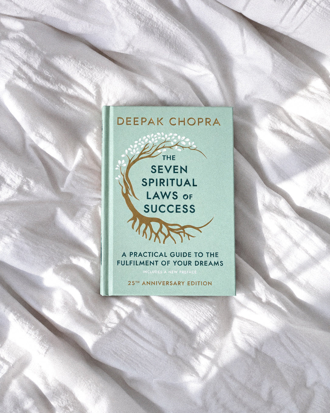 The Seven Spiritual Laws of Success