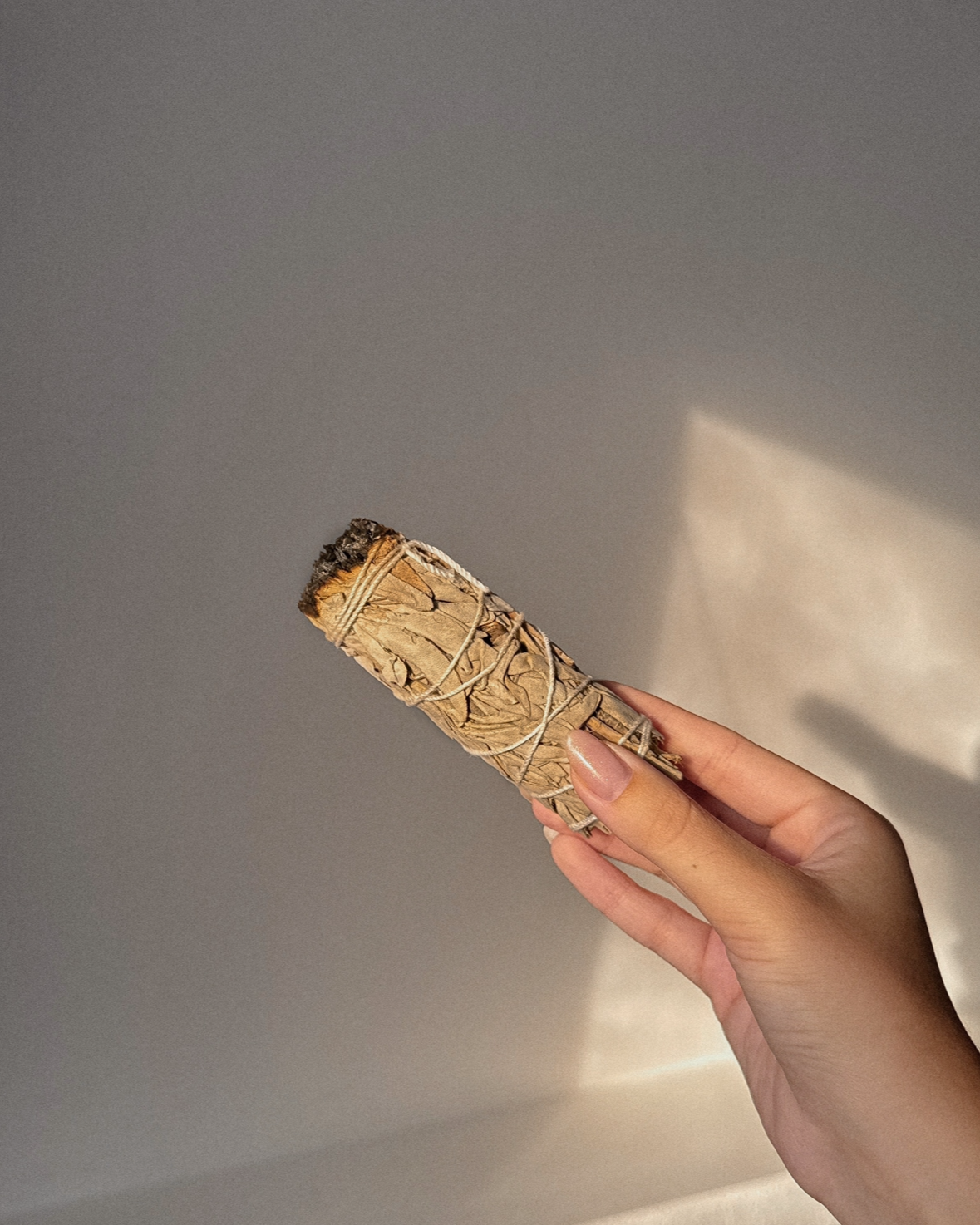 White Sage Smudge Stick